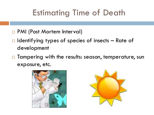Estimating Time Of Death Using Insects Worksheet Answers