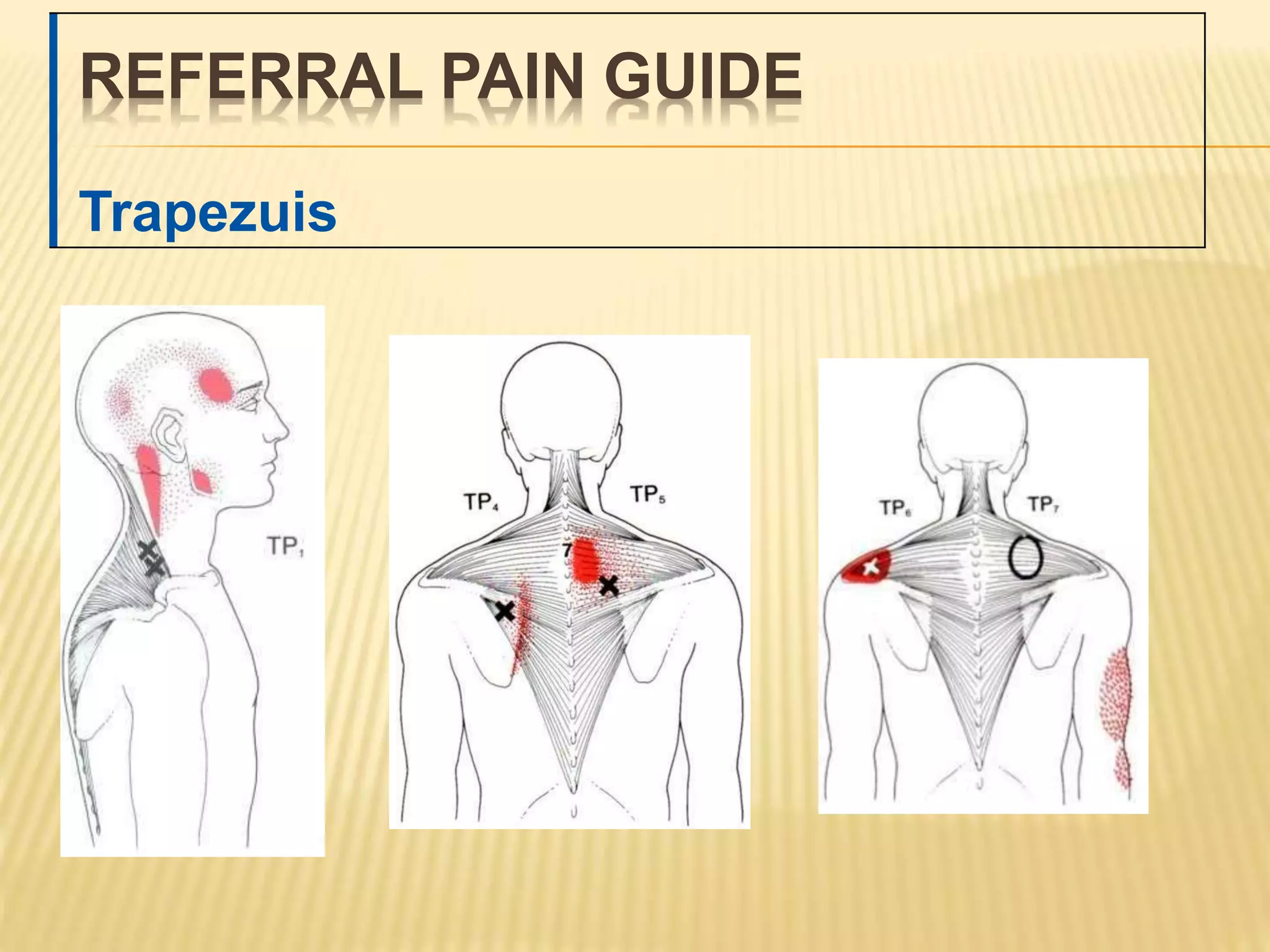 Frozen Shoulder Physiotherapy ppt PPT