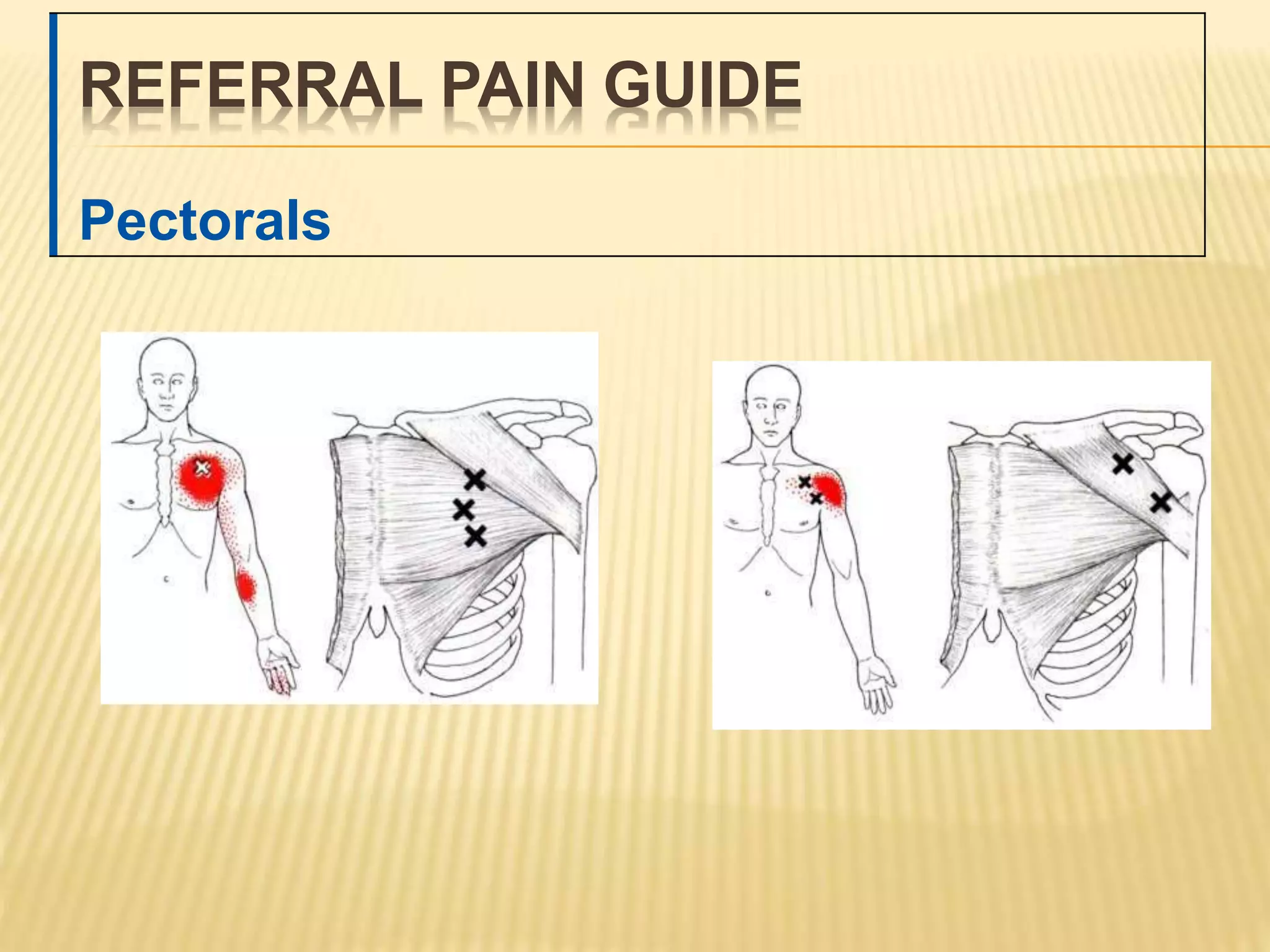 Frozen Shoulder Physiotherapy ppt PPT