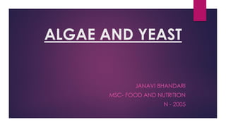 ALGAE AND YEAST
JANAVI BHANDARI
MSC- FOOD AND NUTRITION
N - 2005
 