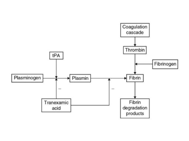 Tranexamic Acid