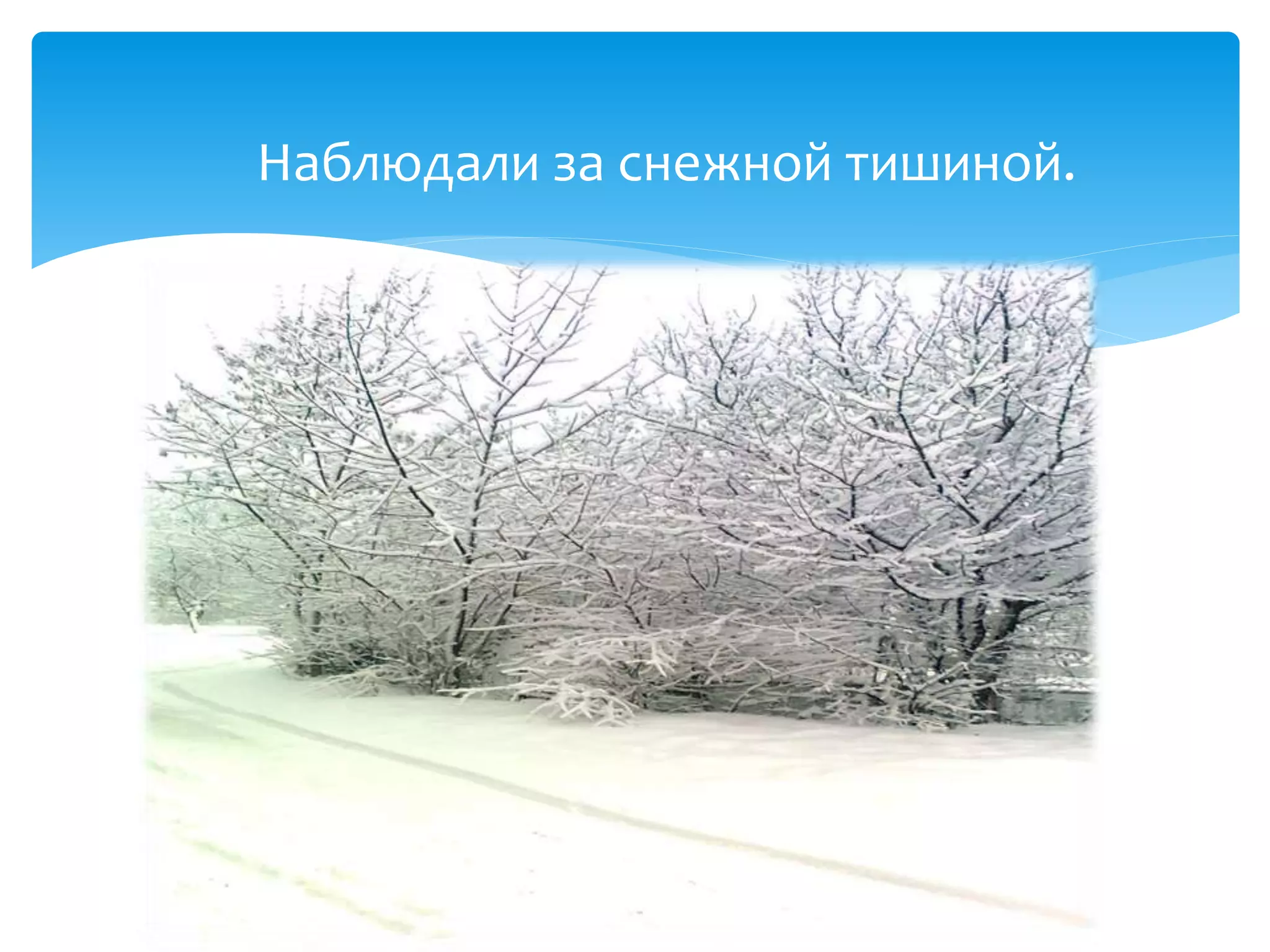 Наблюдали за снежной тишиной.
 