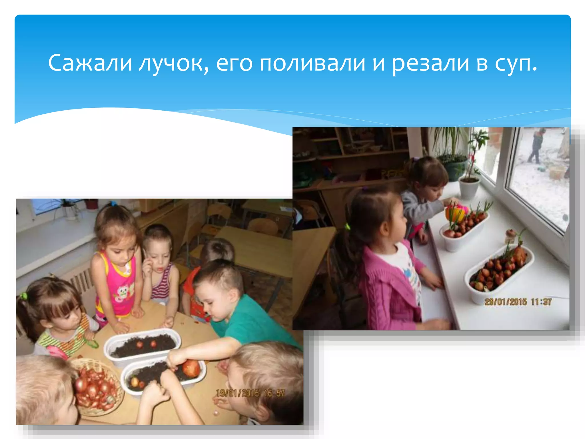 Сажали лучок, его поливали и резали в суп.
 