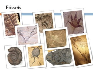 Fósseis 