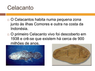 CelacantoO Celacantoshabita numa pequena zona junto às ilhas Comores e outra na costa da Indonésia.O primeiro Celacanto vivo foi descoberto em 1938 e crê-se que existem há cerca de 900 milhões de anos.