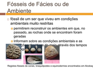 Fósseis de Fácies ou de Ambientefóssil de um ser que viveu em condições ambientais muito restritaspermitirem reconstruir os ambientes em que, no passado, as rochas onde se encontram foram geradasInformam sobre as condições ambientais e as variações climáticas do meio através dos tempos geológicosRegistos fósseis de corais, braquiópodes e equinodermes encontrados em Alcobaça