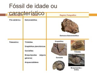 Fóssil de idade ou característico
