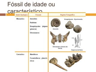 Fóssil de idade ou característico