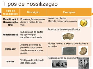 Tipos de Fossilização