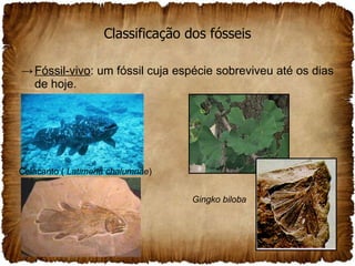 Classificação dos fósseis Fóssil-vivo : um fóssil cuja espécie sobreviveu até os dias de hoje. Celacanto (  Latimeria chalumnae )   Gingko biloba  