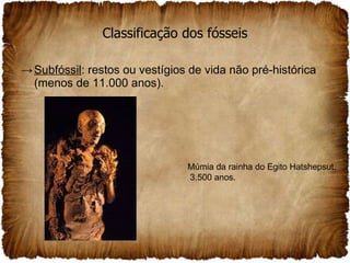 Classificação dos fósseis Subfóssil : restos ou vestígios de vida não pré-histórica (menos de 11.000 anos). Múmia da rainha do Egito Hatshepsut. 3.500 anos. 
