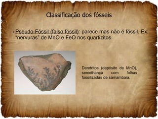 Classificação dos fósseis Pseudo-Fóssil (falso fóssil) : parece mas não é fóssil. Ex: “nervuras” de MnO e FeO nos quartizitos. Dendritos (depósito de MnO), semelhança com folhas fossilizadas de samambaia.  