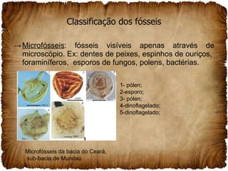 Classificação dos fósseis Microfósseis : fósseis visíveis apenas através de microscópio. Ex: dentes de peixes, espinhos de ouriços,  foraminíferos,  esporos de fungos, polens, bactérias. 1- pólen;  2-esporo;  3- pólen;  4-dinoflagelado; 5-dinoflagelado; Microfósseis da bacia do Ceará, sub-bacia de Mundaú 