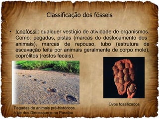 Classificação dos fósseis Icnofóssil : qualquer vestígio de atividade de organismos. Como: pegadas,   pistas (marcas do deslocamento dos  animais), marcas de repouso, tubo (estrutura de escavação feita por animais geralmente de corpo mole), coprólitos (restos fecais). Ovos fossilizados Pegadas de animais pré-históricos.  Vale dos Dinossauros na Paraíba 