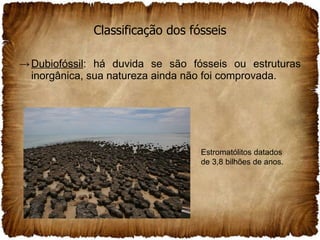 Classificação dos fósseis Dubiofóssil : há duvida se são fósseis ou estruturas inorgânica, sua natureza ainda não foi comprovada.  Estromatólitos datados de 3,8 bilhões de anos. 