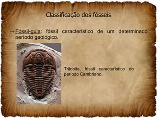 Classificação dos fósseis Fóssil-guia : fóssil característico de um determinado período geológico. Trilobita, fóssil característico do período Cambriano. 