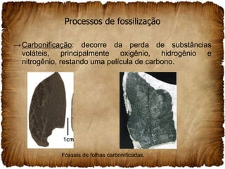 Processos de fossilização Carbonificação : decorre da perda de substâncias voláteis, principalmente oxigênio, hidrogênio e nitrogênio, restando uma película de carbono. Fósseis de folhas carbonificadas. 