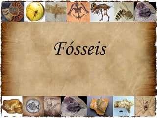 Fósseis 