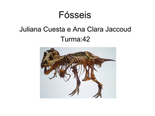 Fósseis
Juliana Cuesta e Ana Clara Jaccoud
             Turma:42
 