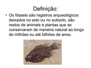 Definição:
• Os fósseis são registros arqueológicos
  deixados no solo ou no subsolo, são
  restos de animais e plantas que se
  conservaram de maneira natural ao longo
  de milhões ou até bilhões de anos.
 