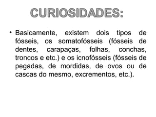 • Basicamente, existem dois tipos de
  fósseis, os somatofósseis (fósseis de
  dentes, carapaças, folhas, conchas,
  troncos e etc.) e os icnofósseis (fósseis de
  pegadas, de mordidas, de ovos ou de
  cascas do mesmo, excrementos, etc.).
 