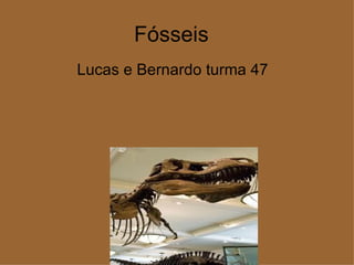 Fósseis
Lucas e Bernardo turma 47
 