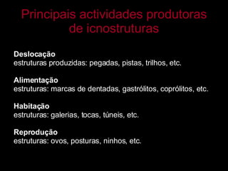 Principais actividades produtoras de icnostruturas   Deslocação estruturas produzidas: pegadas, pistas, trilhos, etc.   Alimentação estruturas: marcas de dentadas, gastrólitos, coprólitos, etc.   Habitação estruturas: galerias, tocas, túneis, etc.   Reprodução estruturas: ovos, posturas, ninhos, etc. 