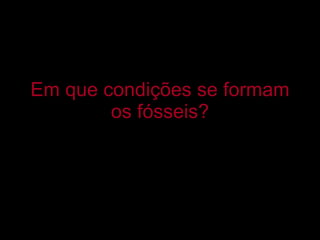 Em que condições se formam os fósseis? 