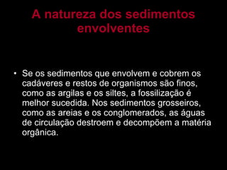 A natureza dos sedimentos envolventes Se os sedimentos que envolvem e cobrem os cadáveres e restos de organismos são finos, como as argilas e os siltes, a fossilização é melhor sucedida. Nos sedimentos grosseiros, como as areias e os conglomerados, as águas de circulação destroem e decompõem a matéria orgânica. 