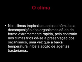 O clima Nos climas tropicais quentes e húmidos a decomposição dos organismos dá-se de forma extremamente rápida, pelo contrário nos climas frios dá-se a preservação dos organismos, uma vez que a baixa temperatura inibe a acção de agentes bacterianos. 