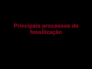 Principais processos de fossilização 