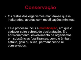 Conservação Os restos dos organismos mantêm-se quase inalterados, apenas com modificações mínimas. Este processo inclui a  mumificação , em que o cadáver sofre sobretudo desidratação. É o aprisionamento/ envolvimento de organismos em substâncias fossilizantes, como o âmbar, asfalto, gelo ou sílica, permanecendo aí conservados. 