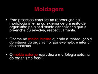 Moldagem Este processo consiste na reprodução da morfologia interna ou externa de um resto de organismo pelo sedimento consolidado que o preenche ou envolve, respectivamente.  Chama-se  molde interno  quando a reprodução é do interior do organismo, por exemplo, o interior das conchas. O  molde externo  reproduz a morfologia externa do organismo fóssil. 