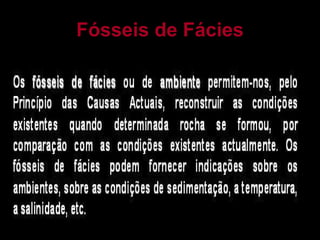 Fósseis de Fácies 