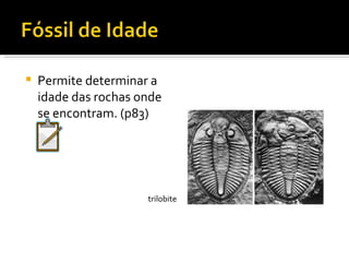 Permite determinar a idade das rochas onde se encontram. (p83) trilobite 