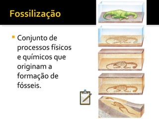 Conjunto de processos físicos e químicos que originam a formação de fósseis. 