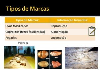 Página 72 Tipos de Marcas: Informação fornecida: Ovos fossilizados Reprodução Coprólitos (fezes fossilizadas) Alimentação Pegadas Locomoção 