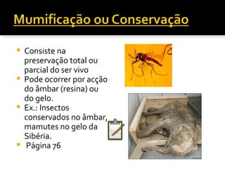 Consiste na preservação total ou parcial do ser vivo Pode ocorrer por acção do âmbar (resina) ou do gelo. Ex.: Insectos conservados no âmbar, mamutes no gelo da Sibéria.   Página 76 