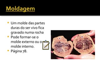 Um molde das partes duras do ser vivo fica gravado numa rocha Pode formar-se o molde externo ou o molde interno. Página 78. 
