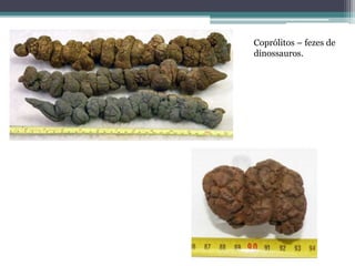 Coprólitos – fezes de
dinossauros.
 