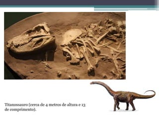 Titanossauro (cerca de 4 metros de altura e 13
de comprimento).
 