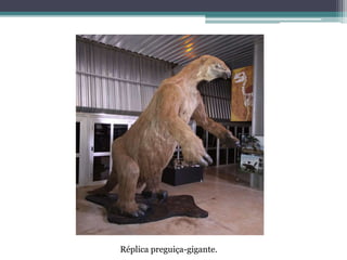 Réplica preguiça-gigante.
 