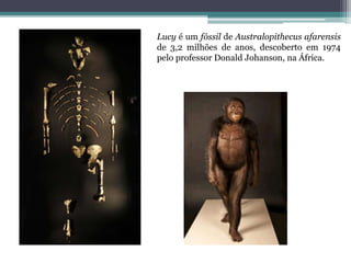 Lucy é um fóssil de Australopithecus afarensis
de 3,2 milhões de anos, descoberto em 1974
pelo professor Donald Johanson, na África.
 
