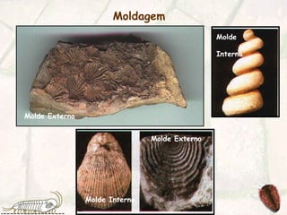 Moldagem
Molde Externo
Molde Externo
Molde Interno
Molde
Interno
 