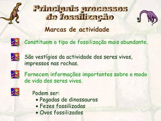 Constituem o tipo de fossilização mais abundante.
São vestígios da actividade dos seres vivos,
impressos nas rochas.
Fornecem informações importantes sobre o modo
de vida dos seres vivos.
Podem ser:
• Pegadas de dinossauros
• Fezes fossilizadas
• Ovos fossilizados
Marcas de actividade
 