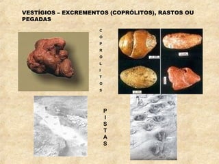 VESTÍGIOS – EXCREMENTOS (COPRÓLITOS), RASTOS OU
PEGADAS
C
O
P
R
Ó
L
I
T
O
S
P
I
S
T
A
S
 