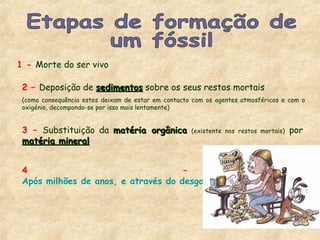 1 - Morte do ser vivo
2 – Deposição de sedimentossedimentos sobre os seus restos mortais
(como consequência estes deixam de estar em contacto com os agentes atmosféricos e com o
oxigénio, decompondo-se por isso mais lentamente)
4 –
Após milhões de anos, e através do desgaste das rochas, o fóssil fic
3 – Substituição da matéria orgânicamatéria orgânica (existente nos restos mortais) por
matéria mineralmatéria mineral
 