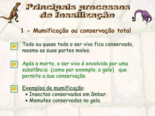 1 - Mumificação ou conservação total
Todo ou quase todo o ser vivo fica conservado,
mesmo as suas partes moles.
Após a morte, o ser vivo é envolvido por uma
substância (como por exemplo, o gelo) que
permite a sua conservação.
Exemplos de mumificação:
• Insectos conservados em âmbar.
• Mamutes conservados no gelo.
 