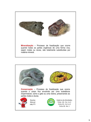 9
Mineralização – Processo de fossilização que ocorre
quando todas as partes orgânicas de uma forma viva,
sejam moles ou duras, são totalmente substituídas por
matéria mineral.
Conservação – Processo de fossilização que ocorre
quando o corpo fica envolvido por uma substância
impermeável, como o gelo ou uma resina, preservando as
partes moles e duras.
Resolve
Manual
pág.171
Caderno de Atividades
Ficha 18 – Ex. 1 e 2
Ficha 19 – Ex 1 e 2
Ficha 20 - #x. 1
 