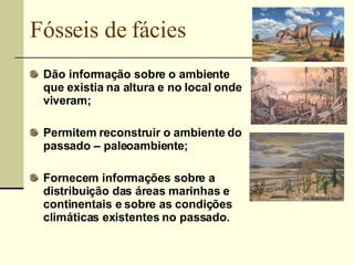 Fósseis de fácies Dão informação sobre o ambiente que existia na altura e no local onde viveram; Permitem reconstruir o ambiente do passado – paleoambiente; Fornecem informações sobre a distribuição das áreas marinhas e continentais e sobre as condições climáticas existentes no passado. 